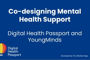 Co-designing Mental Health Support: Webinar Slides